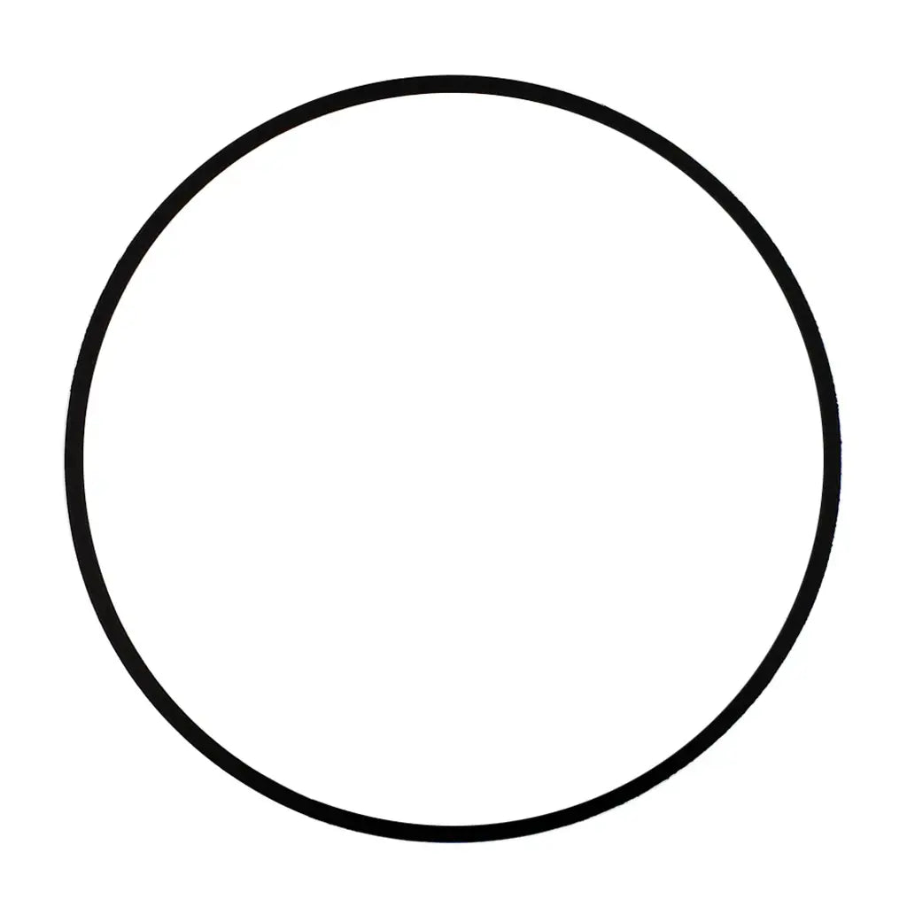 Bell & Gossett P57410 Body Gasket
